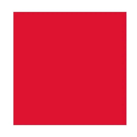 Esmalte - Wild Shine Nail Color - Red Red